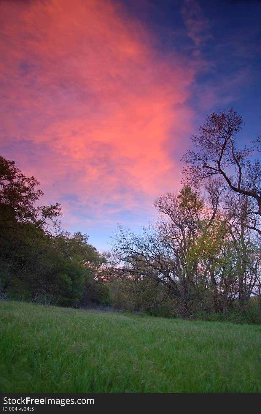 Evening In The Park