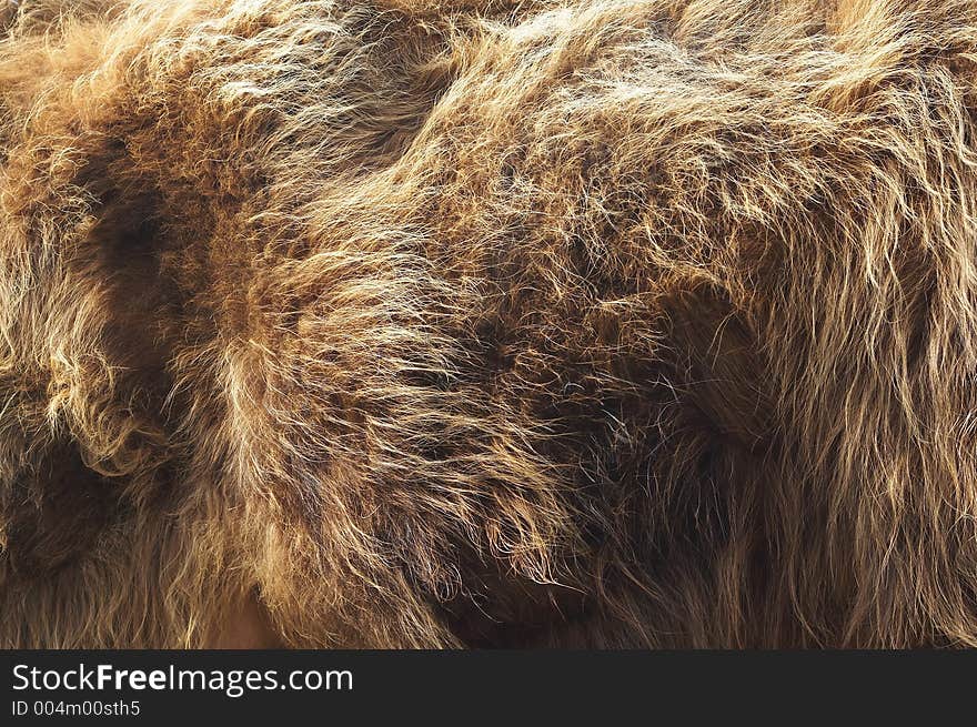 Fur