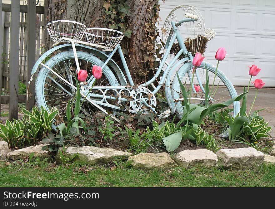 Vintage bike used as flower planter