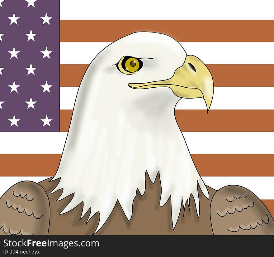 American bald eagle. American bald eagle