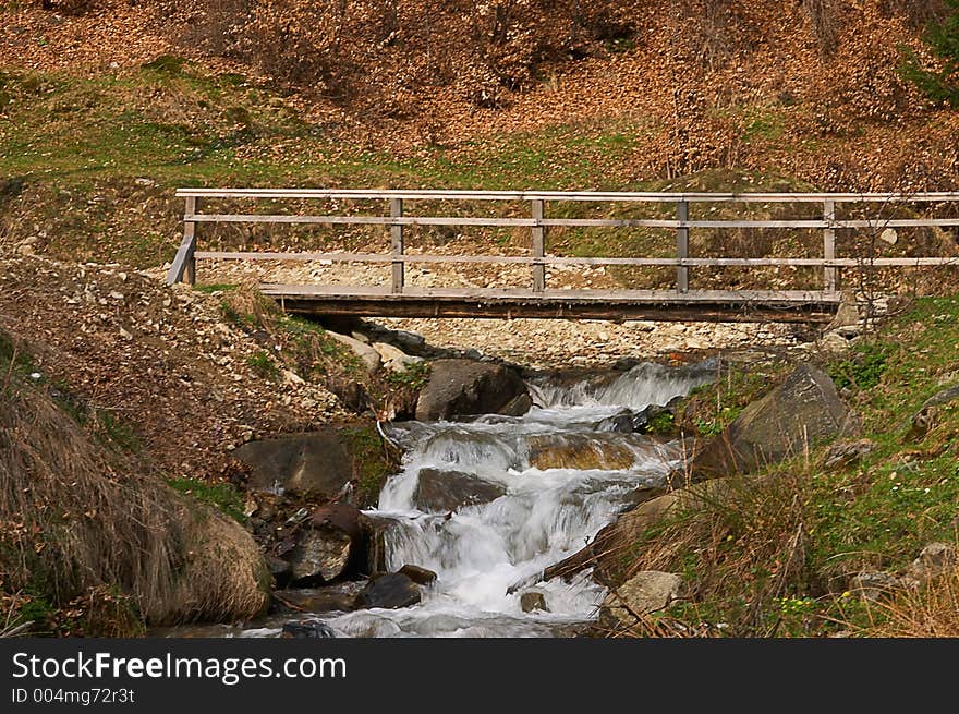 Bridge In Wild