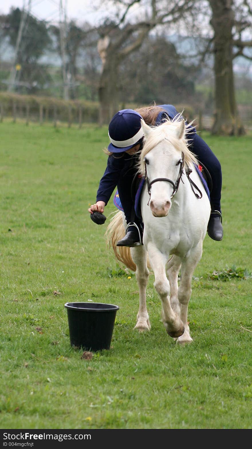 Sock in Bucket