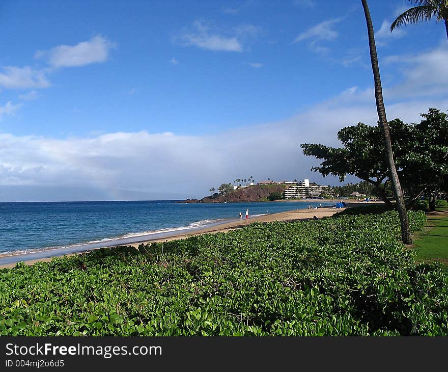 Scene of Kaanapali Beach in Maui, Hawaii