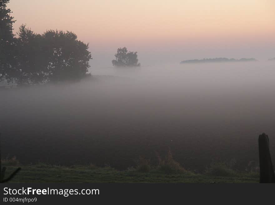 Fog on a field. Fog on a field