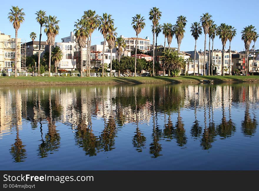 Palm trees reflected in the lagoon at Playa Del Rey, Ca. Palm trees reflected in the lagoon at Playa Del Rey, Ca.