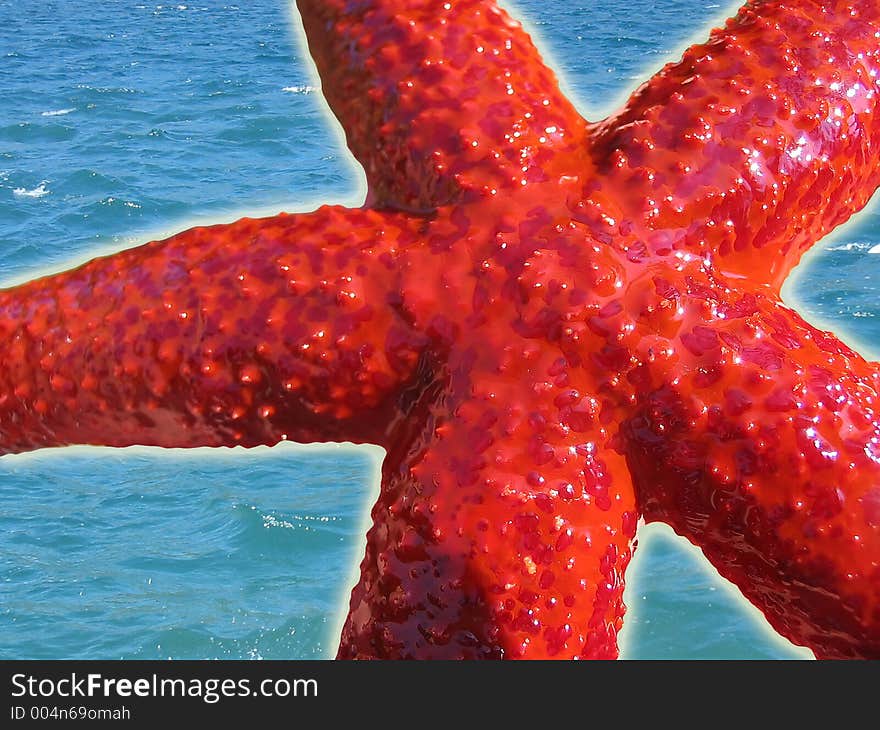 Starfish