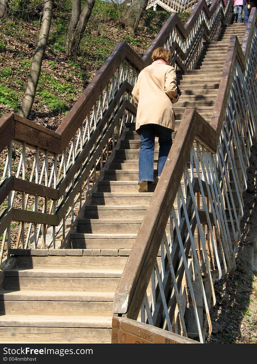 Wooden stairs in a park