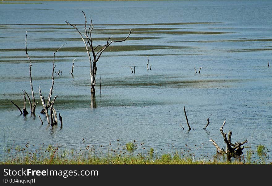 Lake