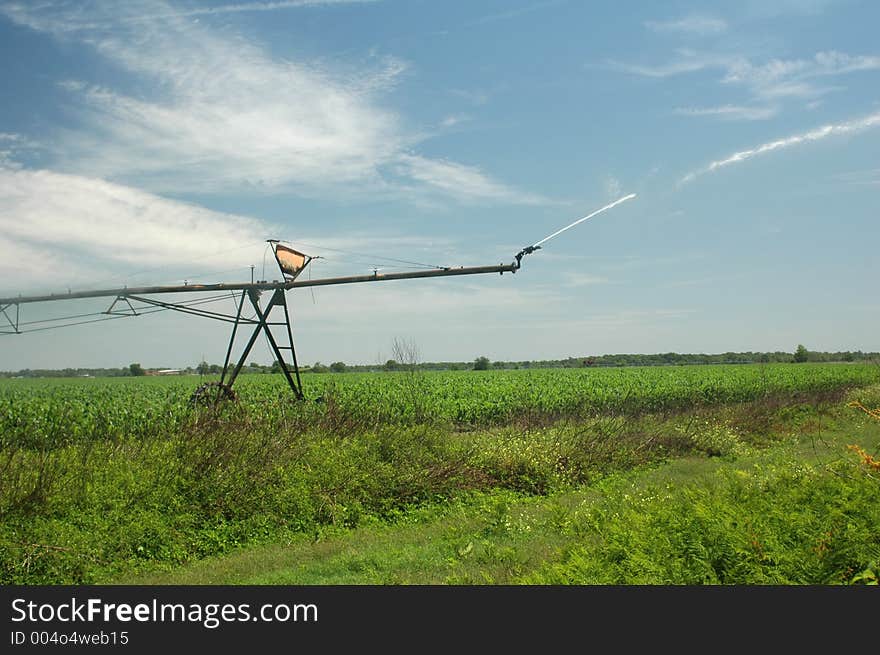 An irrigator sprays water on the corn field. An irrigator sprays water on the corn field.