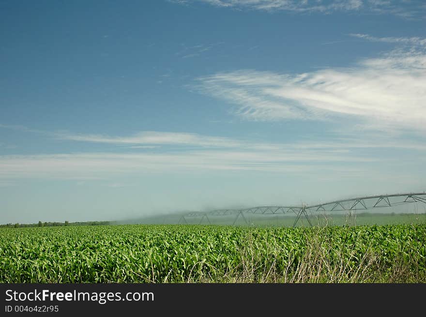 An irrigator sprays water onto the corn field. An irrigator sprays water onto the corn field.