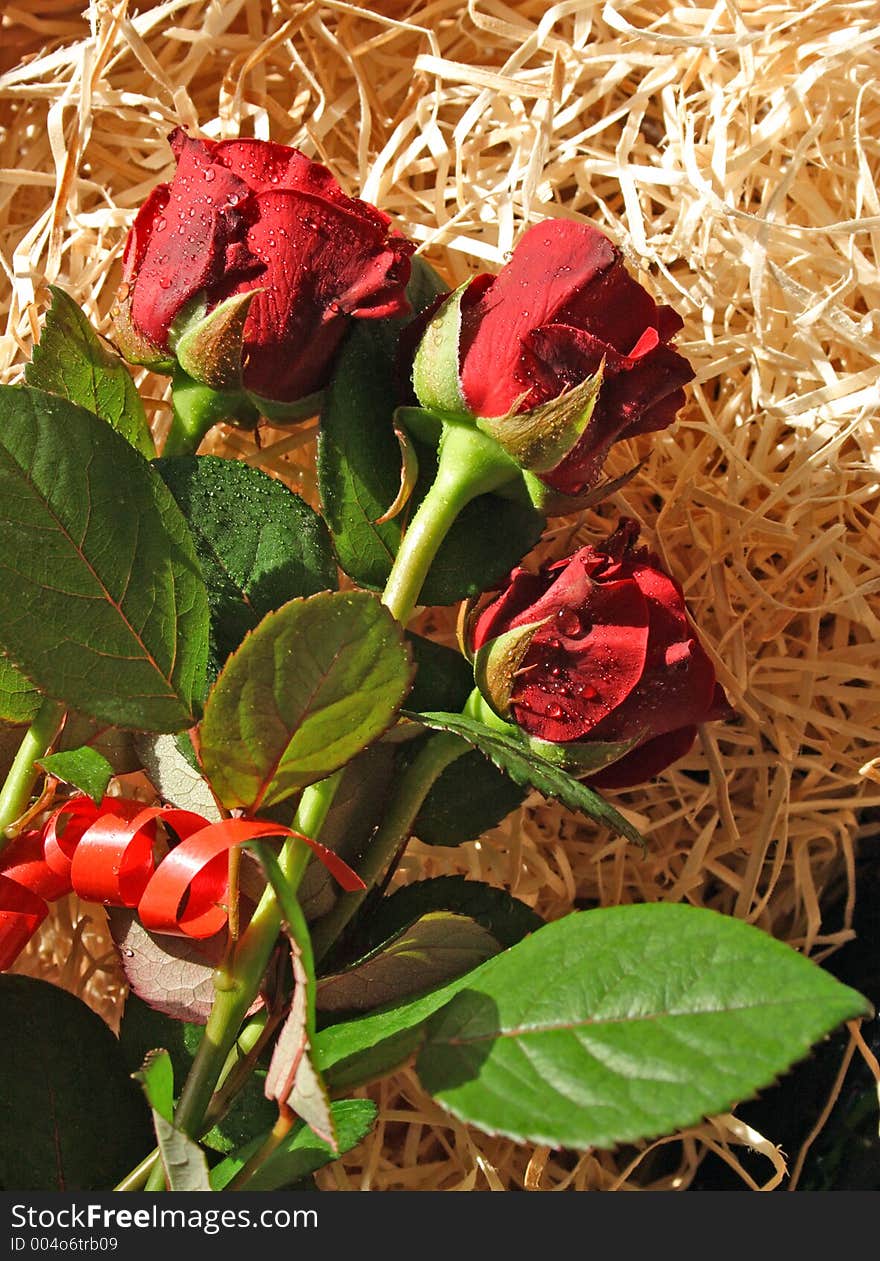 Three red roses on the wood-wool texture.