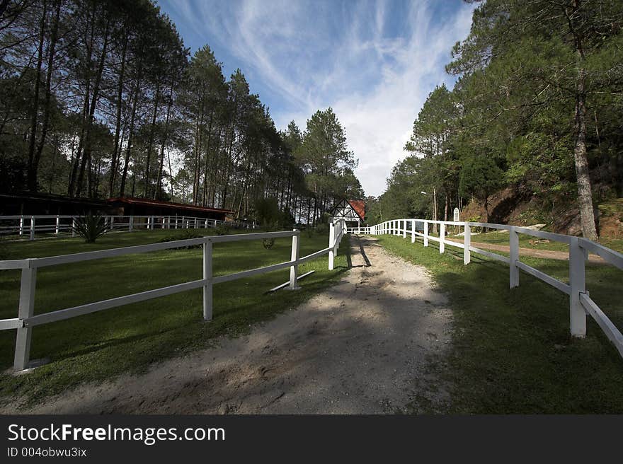 Wide-angle view of an afternoon at the paddock