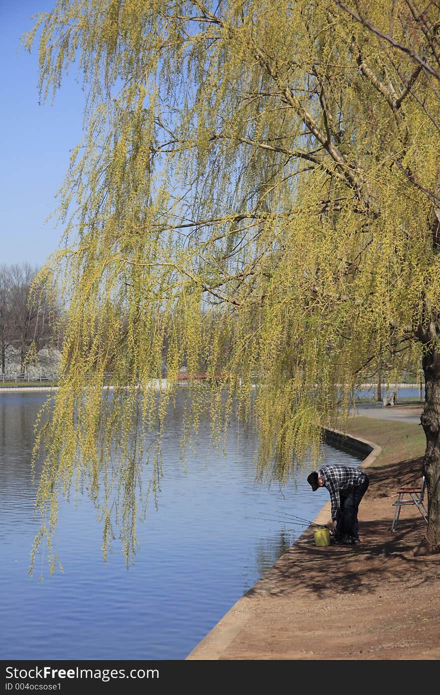 Spring Fishing