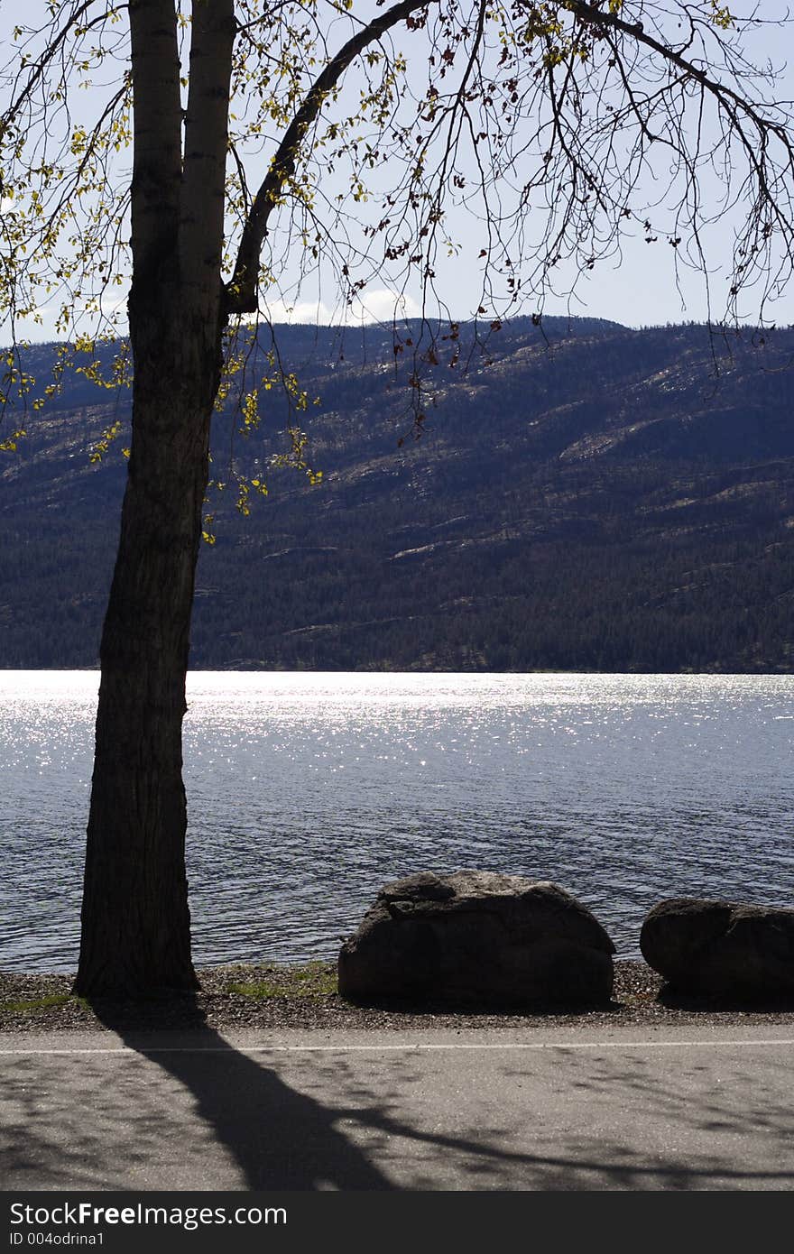 Lake Okanagan sun-kissed by the early morning sun. A tree just beginning to leaf out for spring and two large boulders are silhouetted against the sparkling water. Lake Okanagan sun-kissed by the early morning sun. A tree just beginning to leaf out for spring and two large boulders are silhouetted against the sparkling water.