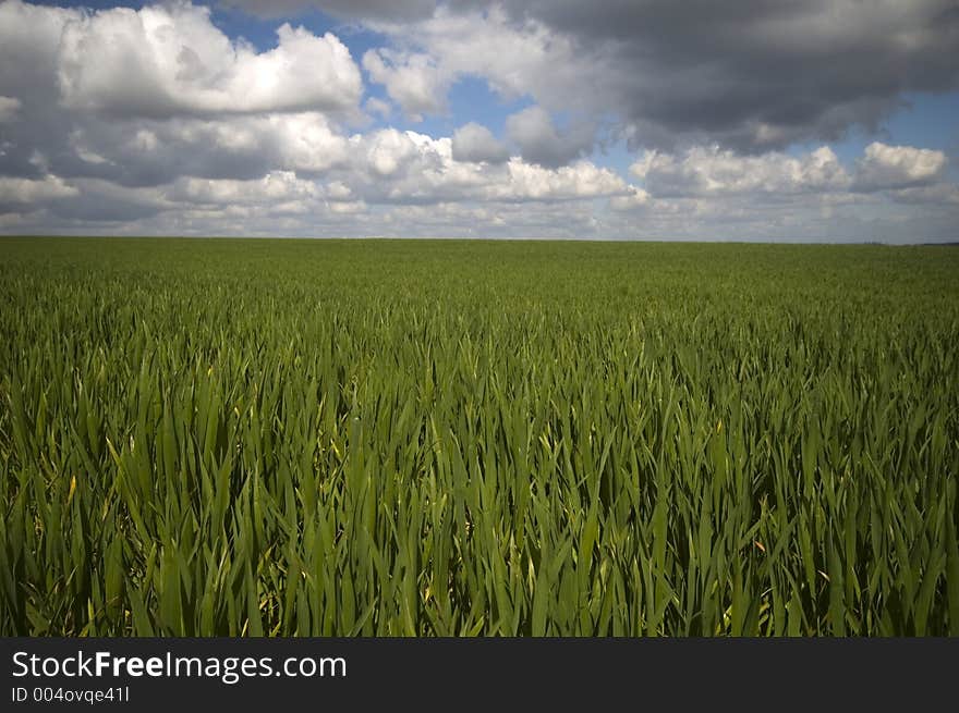 Cloudy belgian landscape. Cloudy belgian landscape