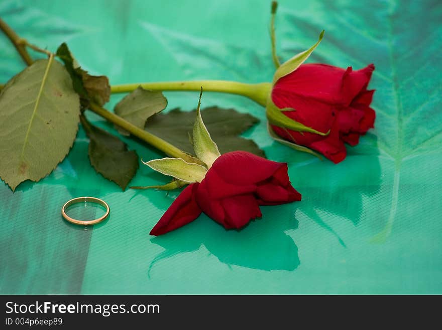 Two roses one wilted and dying and a single gold wedding band lie together to signify weariness with love but the image could also signify growth because of the green nature background. Two roses one wilted and dying and a single gold wedding band lie together to signify weariness with love but the image could also signify growth because of the green nature background