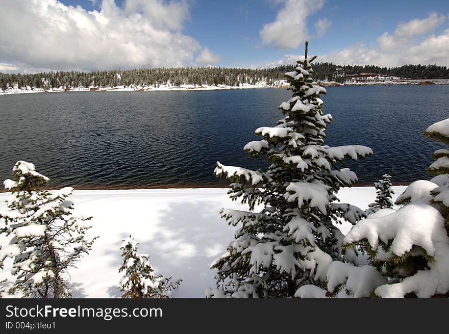 Snowy Spring Day