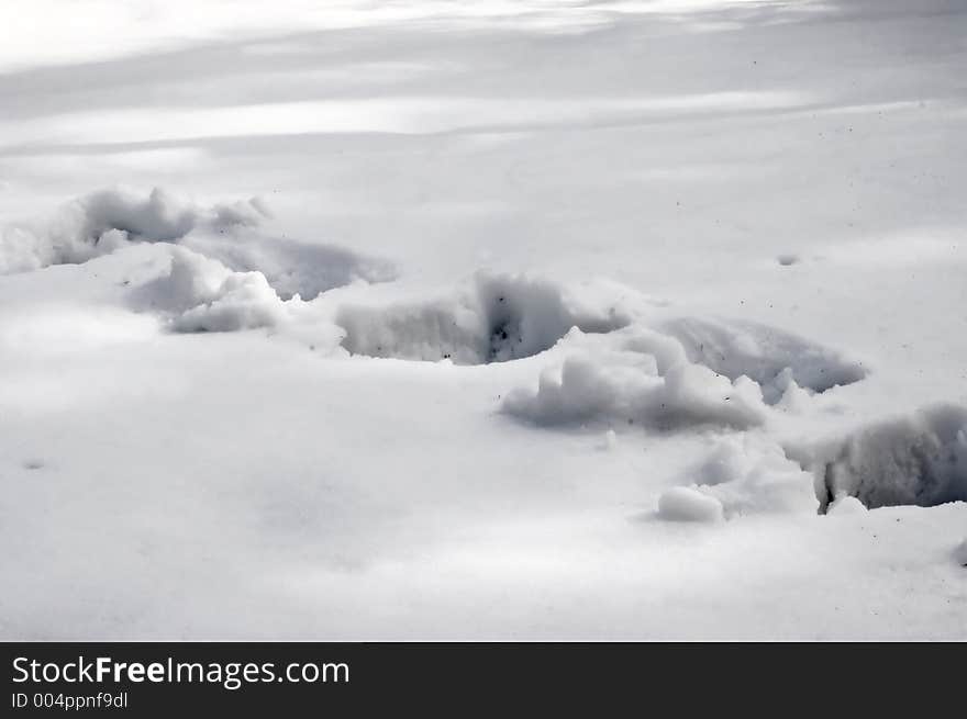 Tracks on the snow