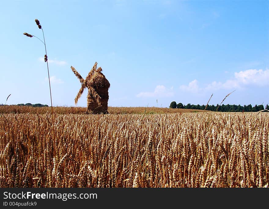 Sky And Field