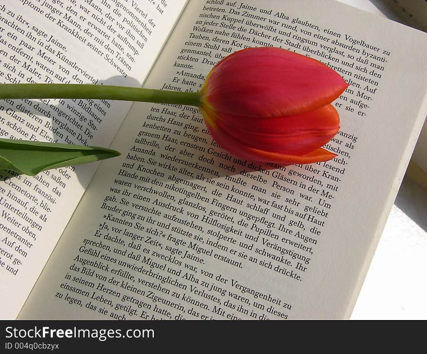 Tulip on a book