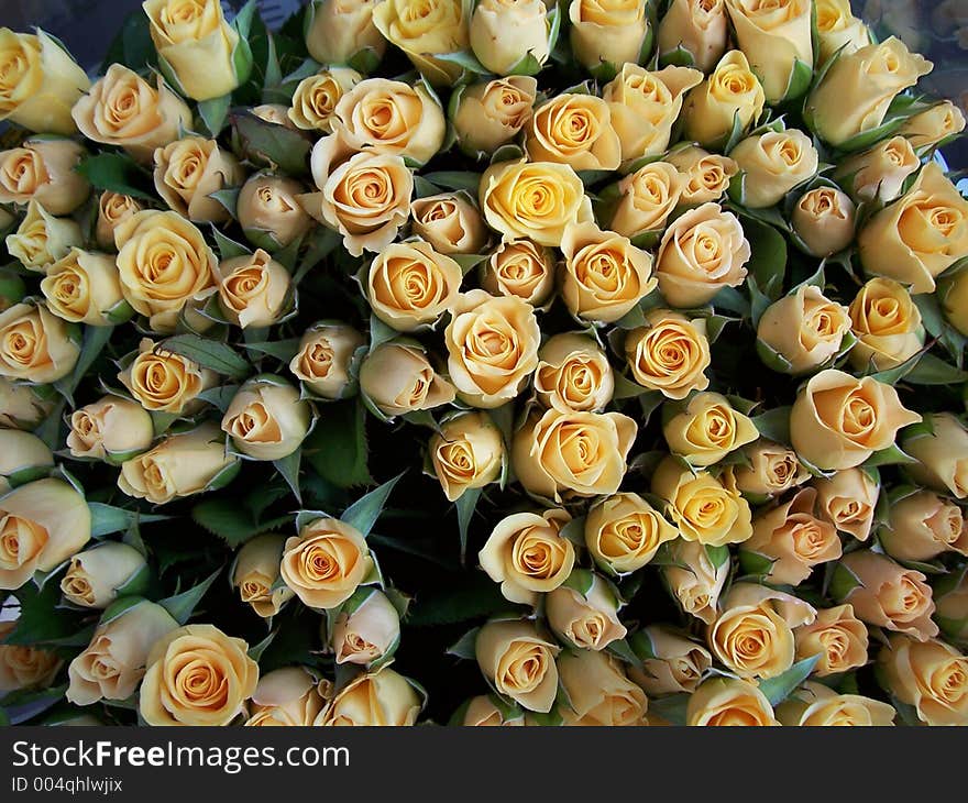 A bouquet of yellow roses in a flower market in the Netherlands.