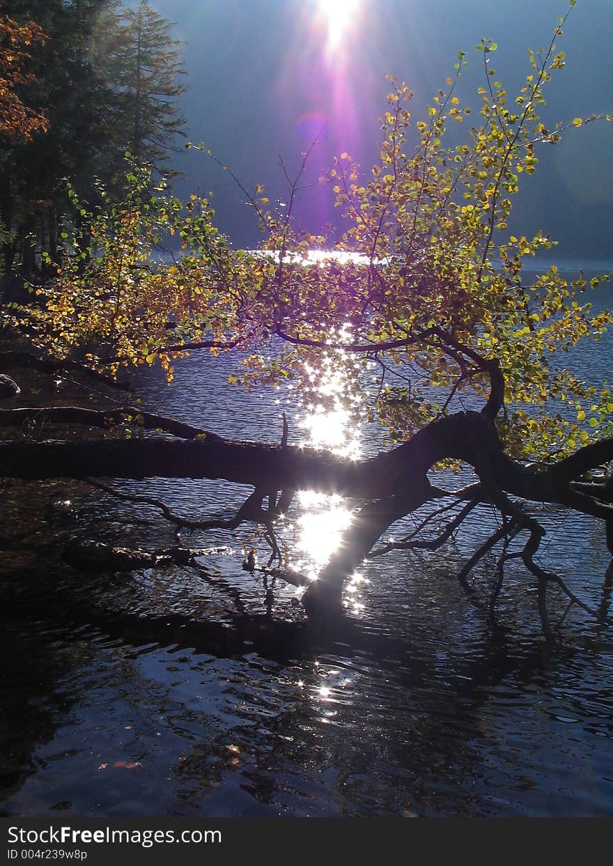 In the national park