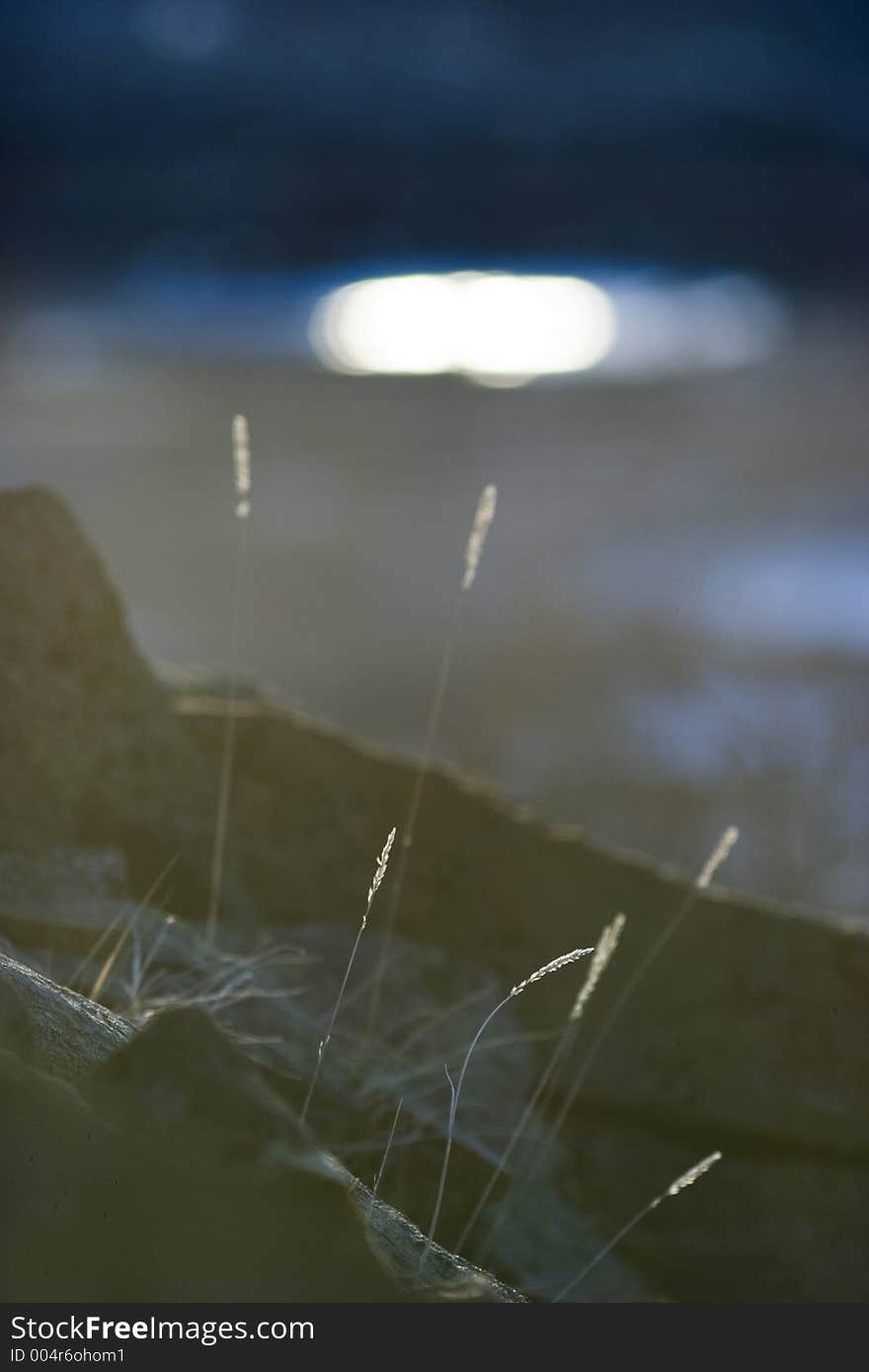 A few grass blades about 1.5 km high above the walley. The reflection is from sunrise on a distant lake mirror. Very shallow DOF. A few grass blades about 1.5 km high above the walley. The reflection is from sunrise on a distant lake mirror. Very shallow DOF