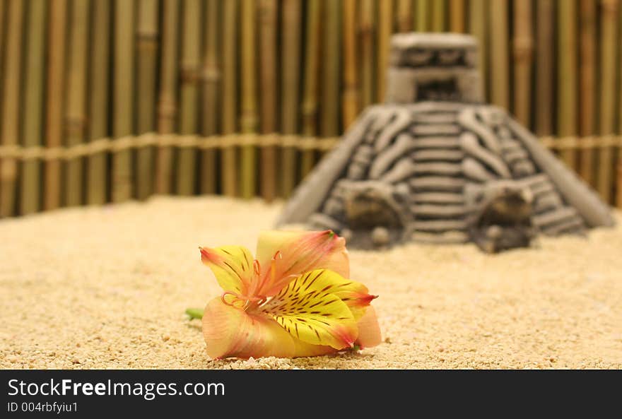 Flower and Pyramid on Sand