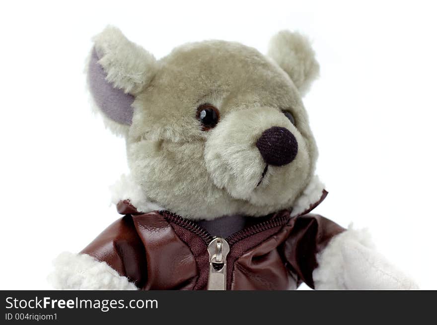 Cute toy gray teddy bear in brown jacket isolated on white. Cute toy gray teddy bear in brown jacket isolated on white