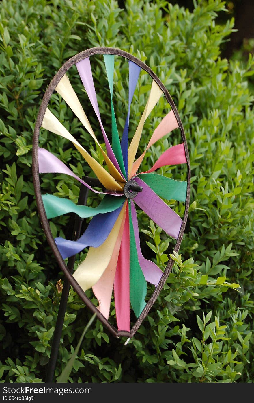 A colored wind wheel in front of a green hedge. A colored wind wheel in front of a green hedge