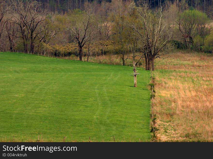 Fields of the cove