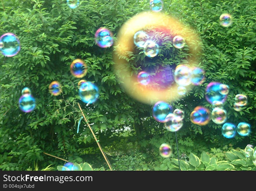 Bubbles floating around the garden. Bubbles floating around the garden