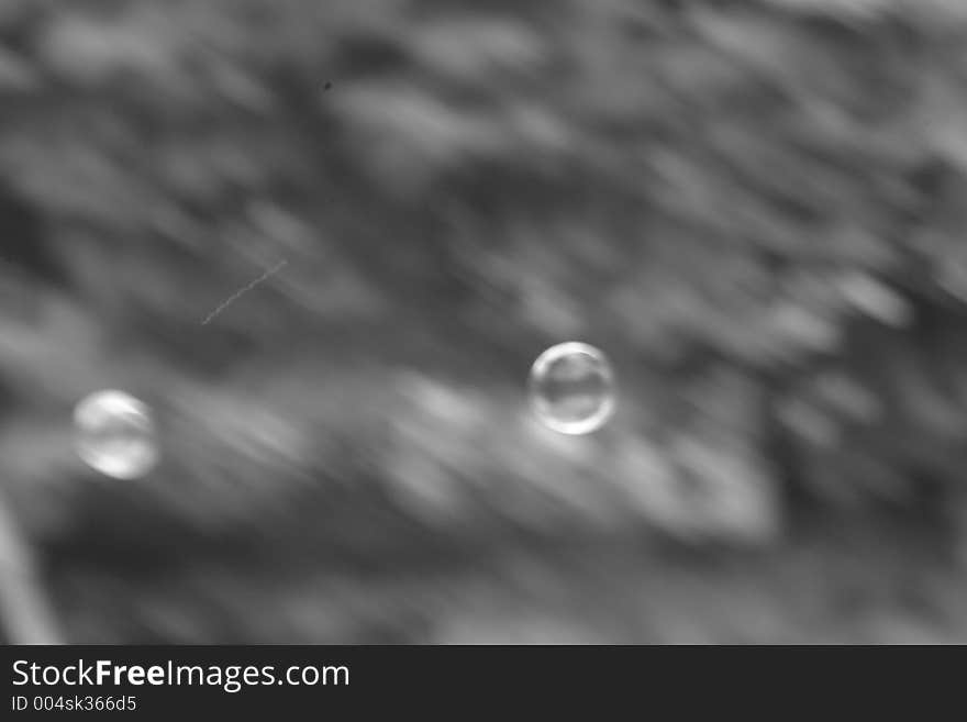 Soap bubbles in the garden, black and white. Soap bubbles in the garden, black and white