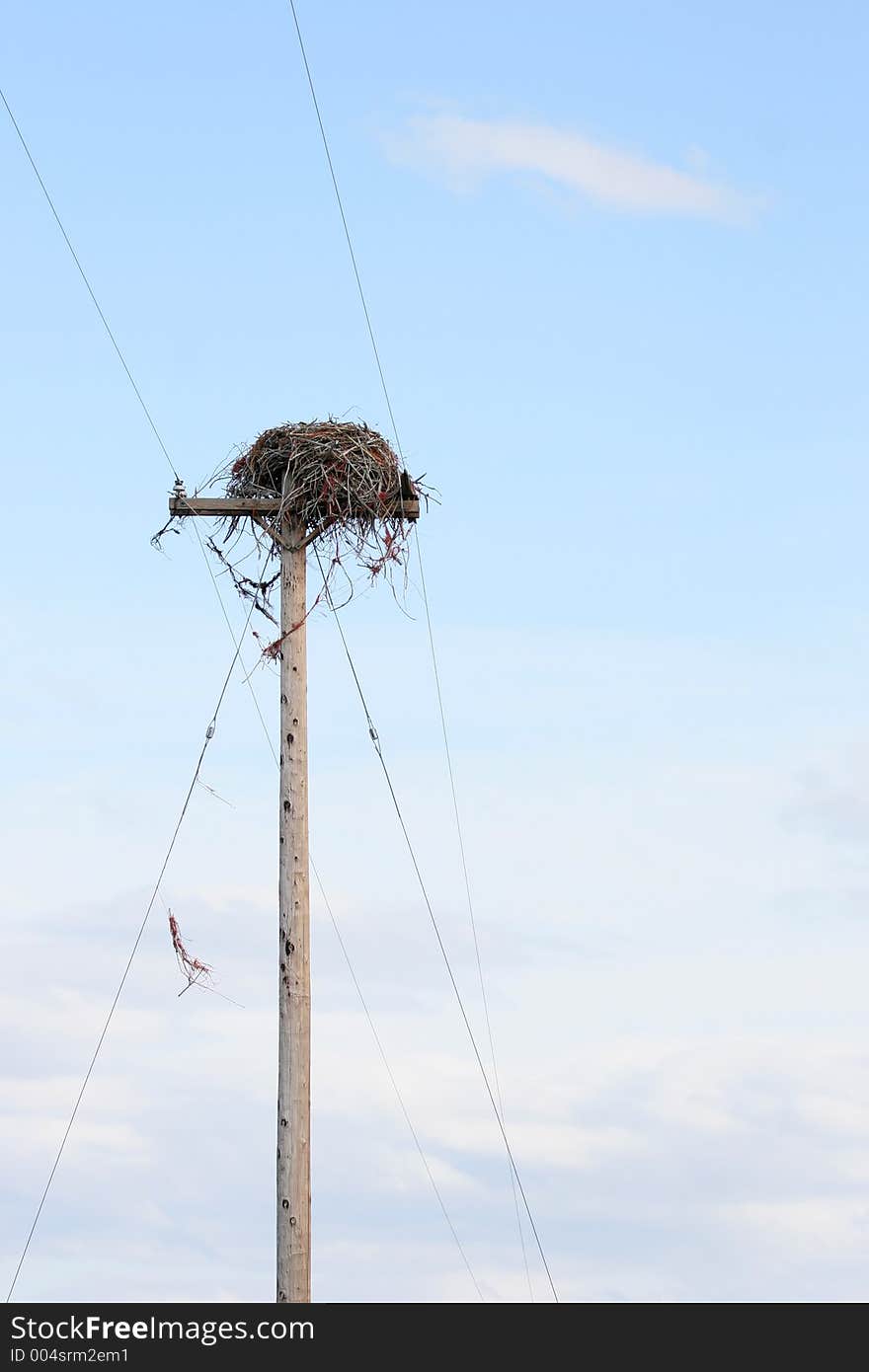 Bird nest perched high on utility pole