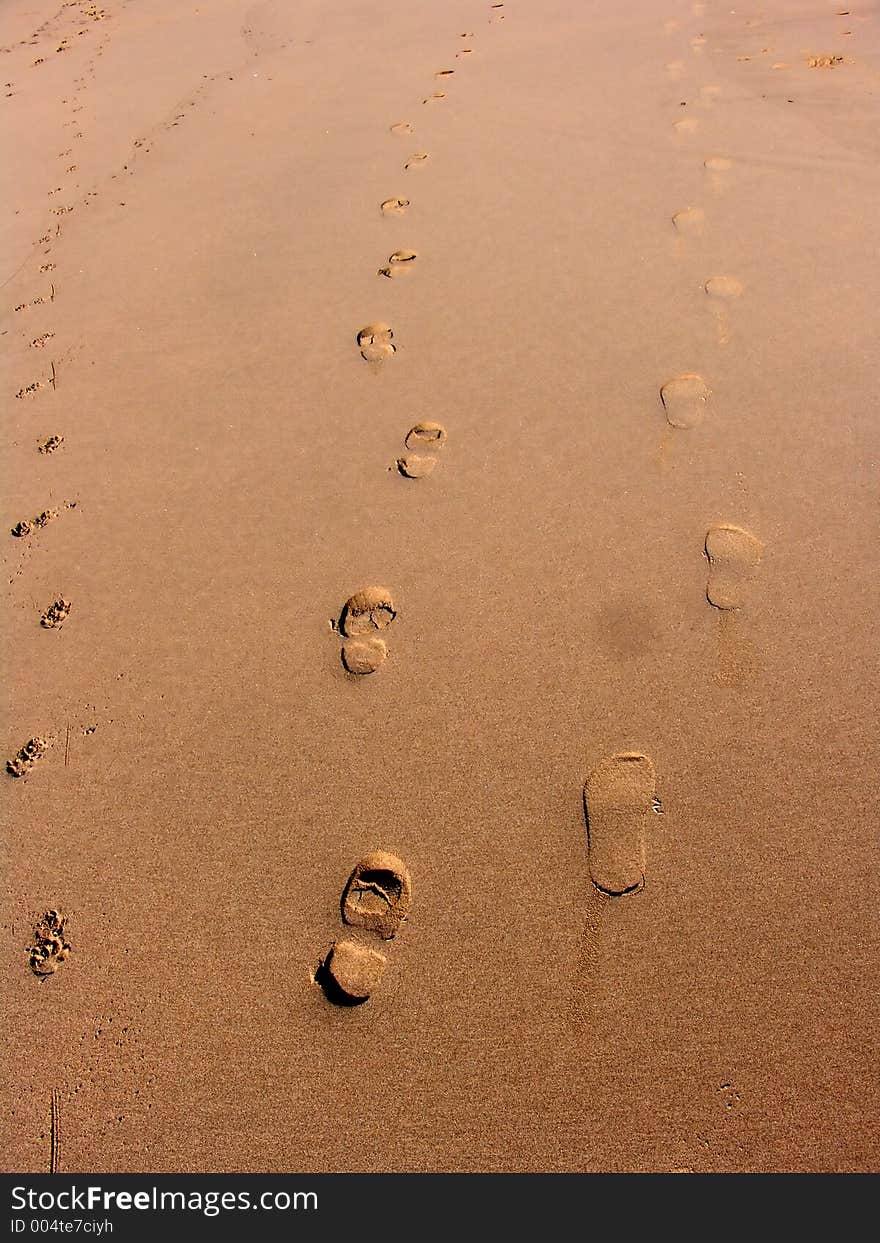 Footprints in the sand