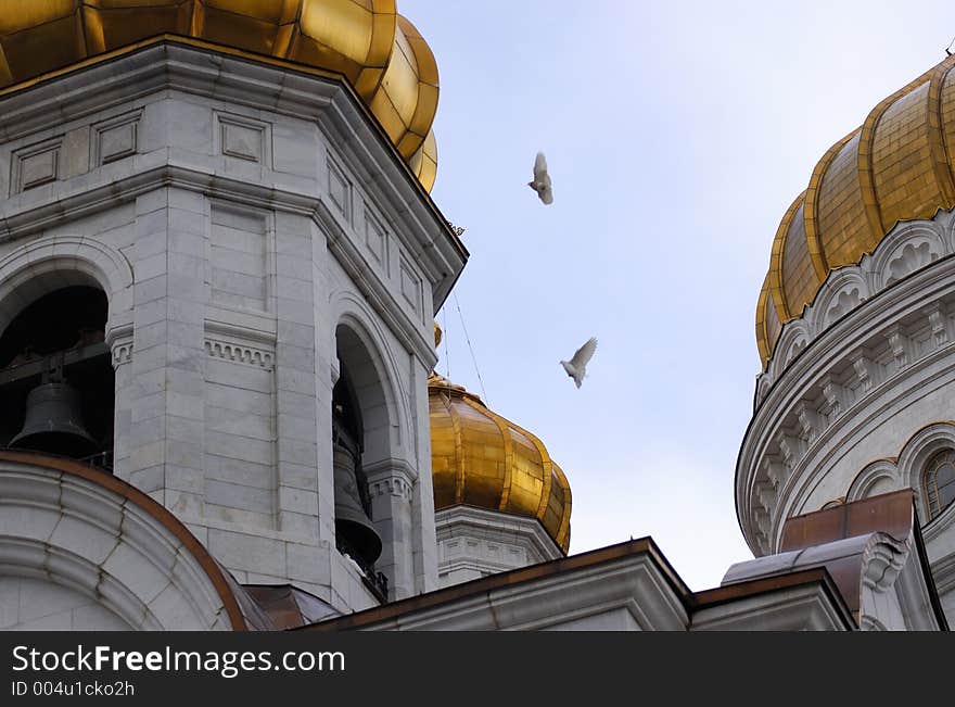 White pigeons above church. White pigeons above church