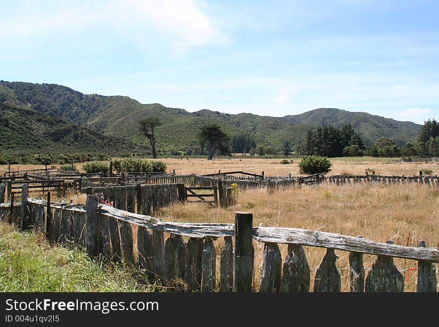 Hay Fields