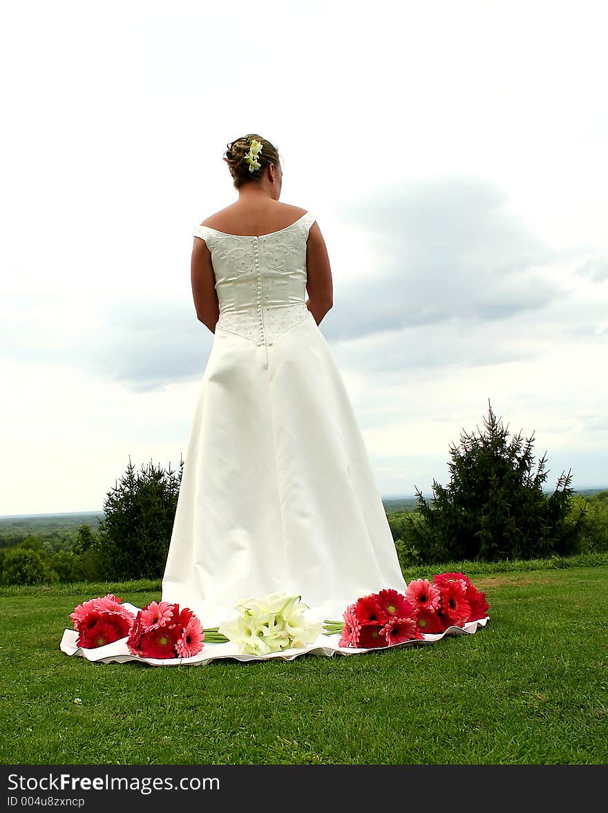 A bride on a hilltop pondering the future. A bride on a hilltop pondering the future.