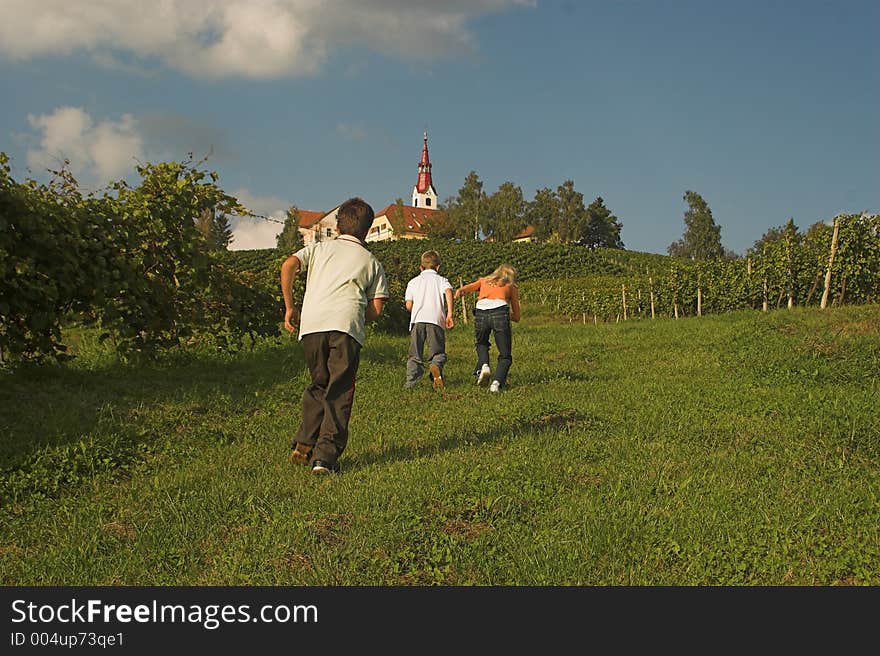 Childern In Vineyard