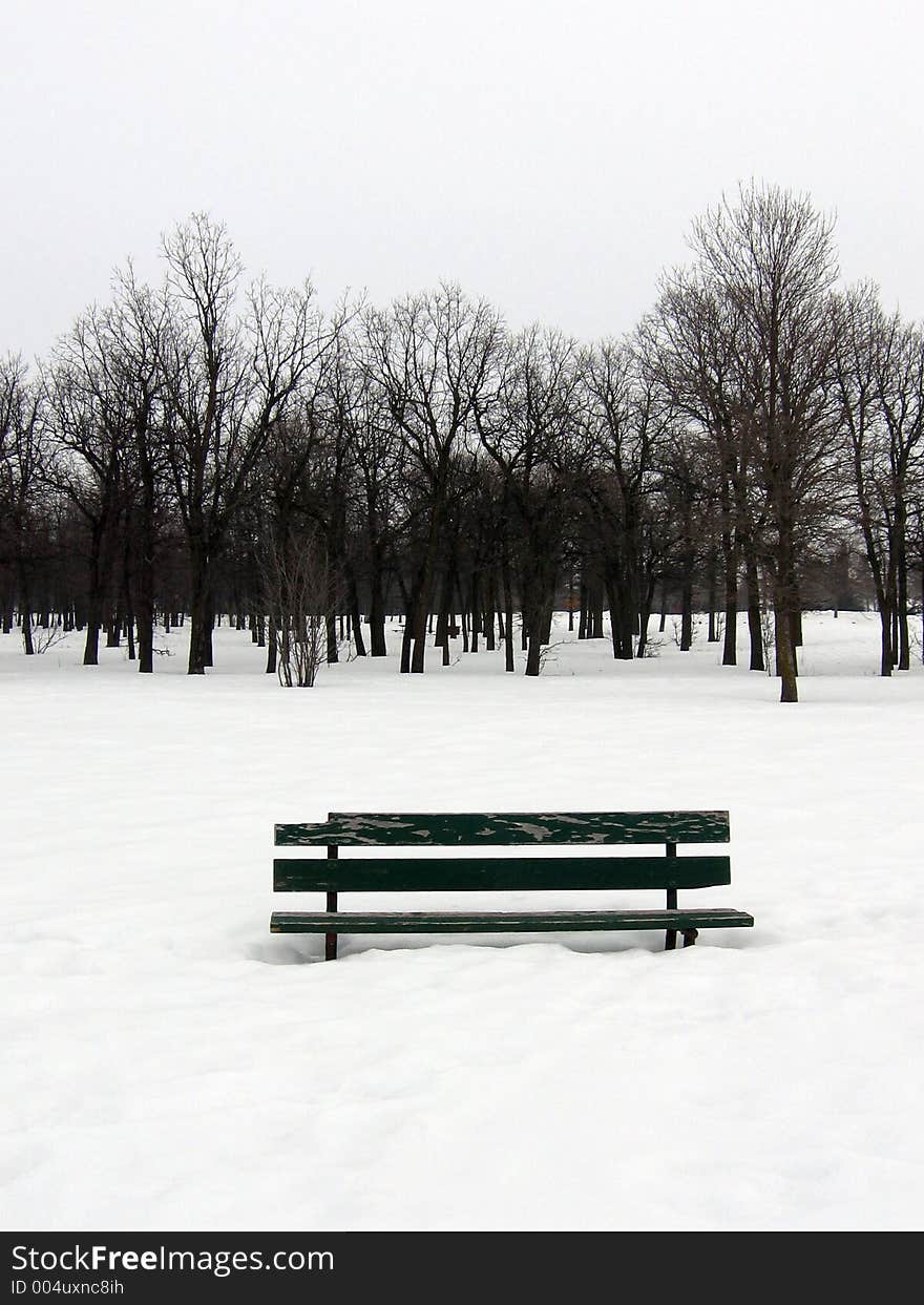 This image depicts a park bench half-buried in snow. This image depicts a park bench half-buried in snow.