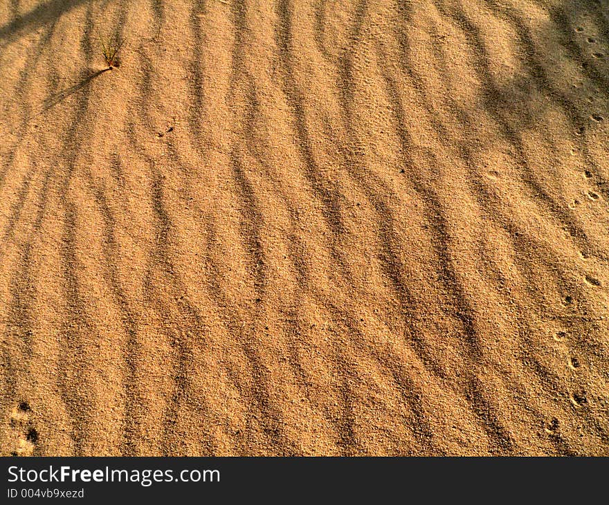 Sandy waves. Sandy waves