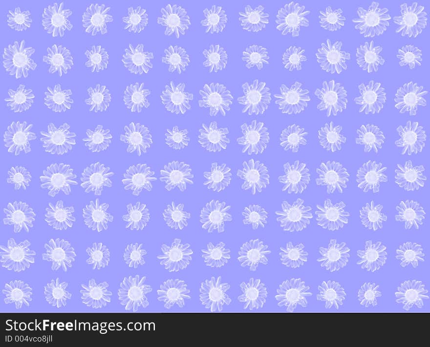 Daisy background in cool blue and white, idea for winter. Daisy background in cool blue and white, idea for winter.