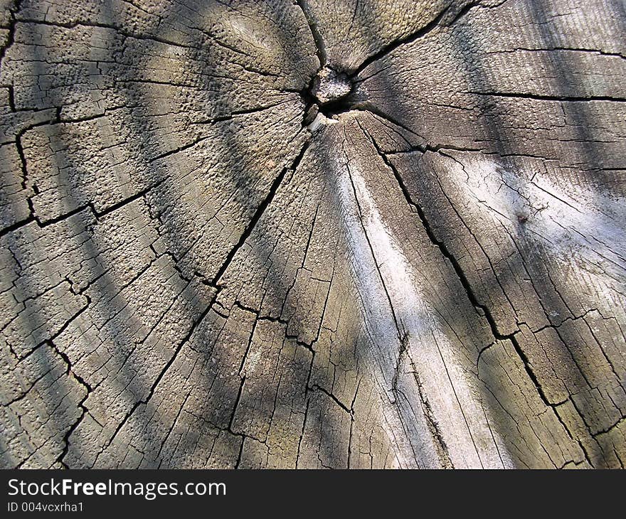 Wood texture.