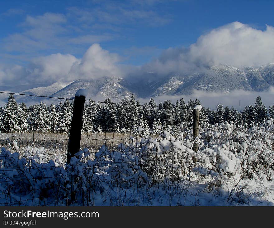 This picture was taken in the Flathead Valley of NW Montana just after a light snowfall had occurred and the clouds were lifting to show the Columbia Mountain range. This picture was taken in the Flathead Valley of NW Montana just after a light snowfall had occurred and the clouds were lifting to show the Columbia Mountain range.