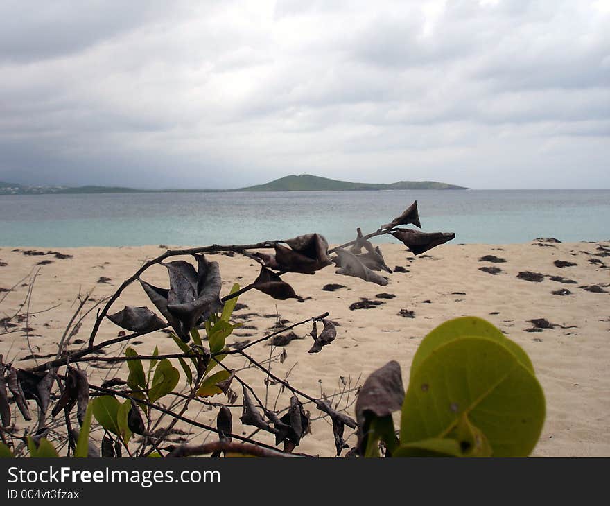 View from beach off the coast of Puerto Rico. View from beach off the coast of Puerto Rico