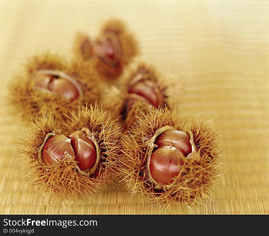 Scenery of Autumn, chestnuts in shell