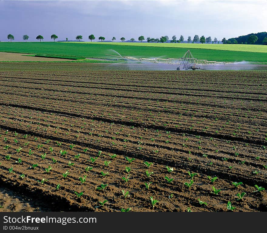 Scene of Korean agriculture