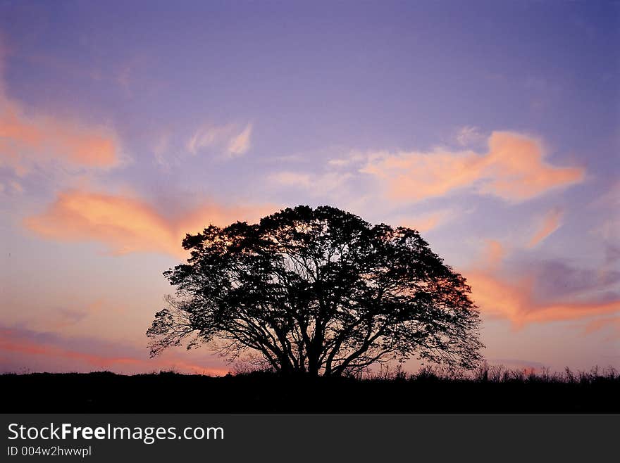 Scene of Korea View