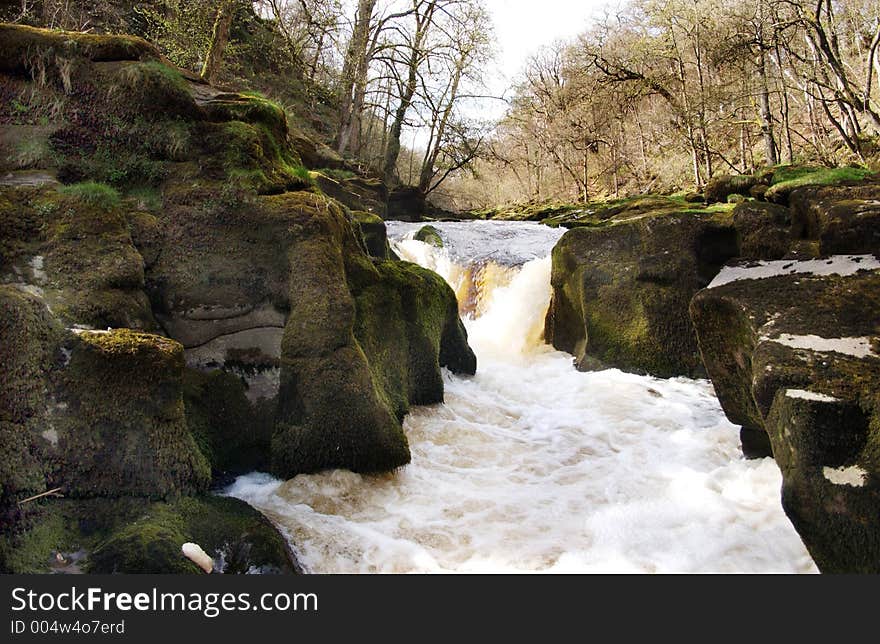 A fast flowing stream. A fast flowing stream