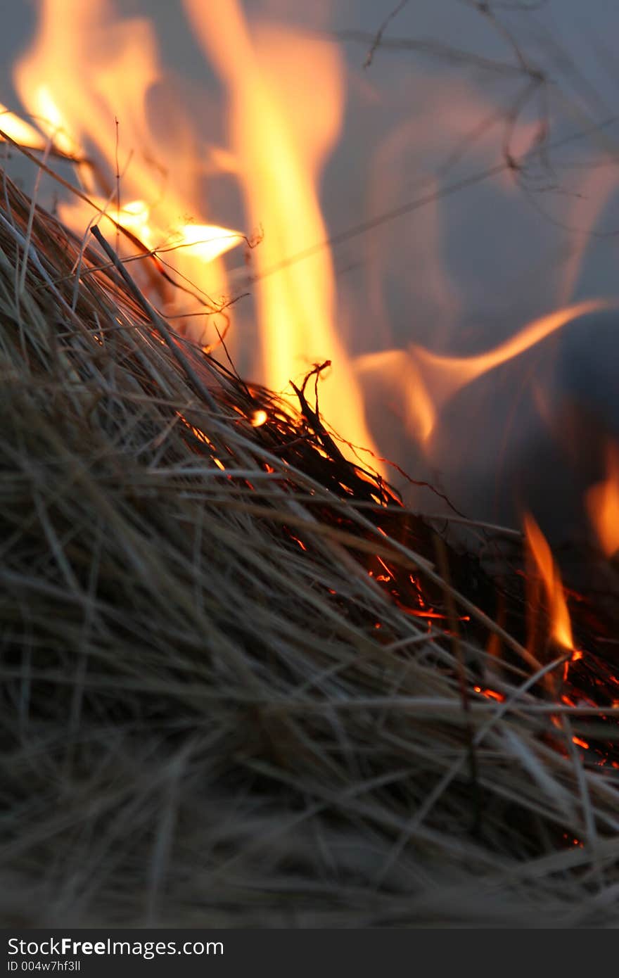 Wild bushes on fire raging out of control. Wild bushes on fire raging out of control